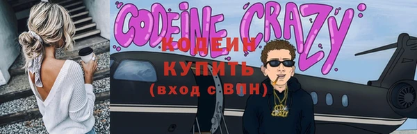 молекула духа Ладушкин