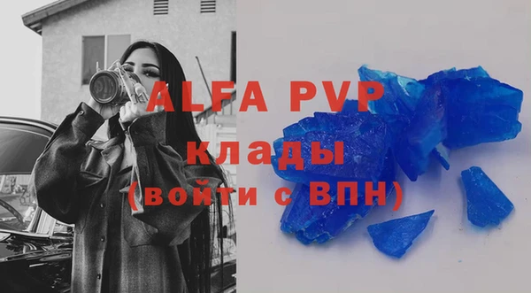 молекула духа Ладушкин