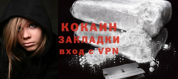 прущие грибы Лагань