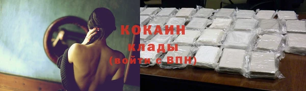 молекула духа Ладушкин