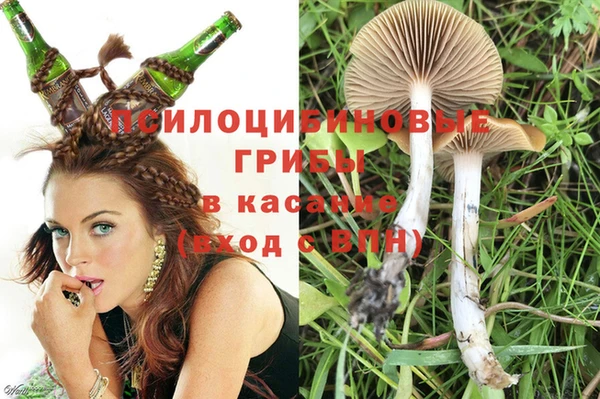 прущие грибы Лагань