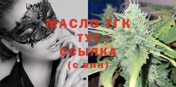 молекула духа Ладушкин