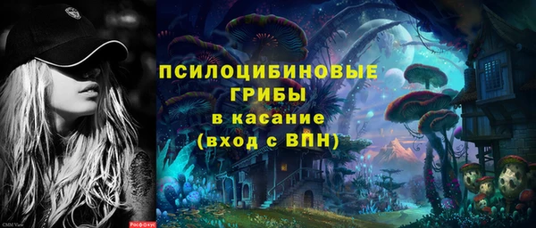 прущие грибы Лагань