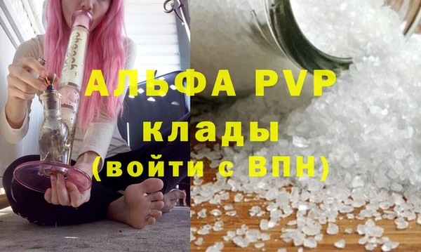 молекула духа Ладушкин