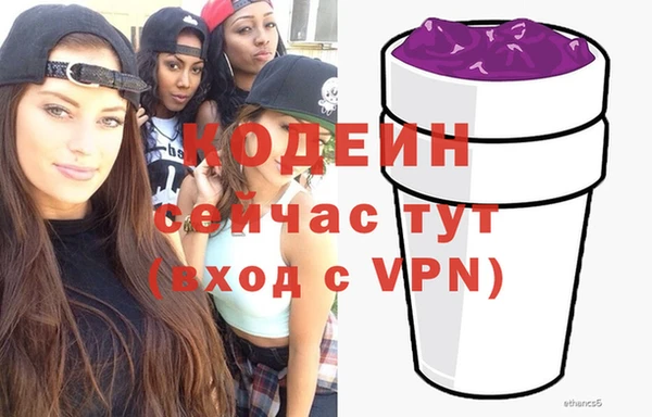 молекула духа Ладушкин