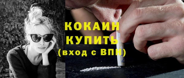 молекула духа Ладушкин