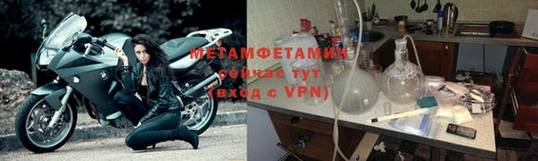 прущие грибы Лагань